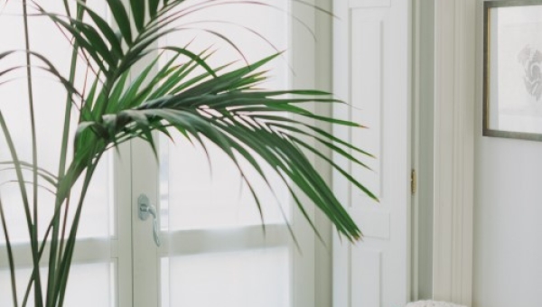 Guide To Being A Landlord