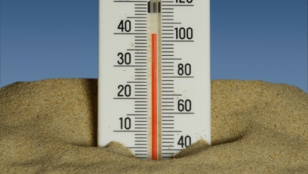 Too Hot to Work? 